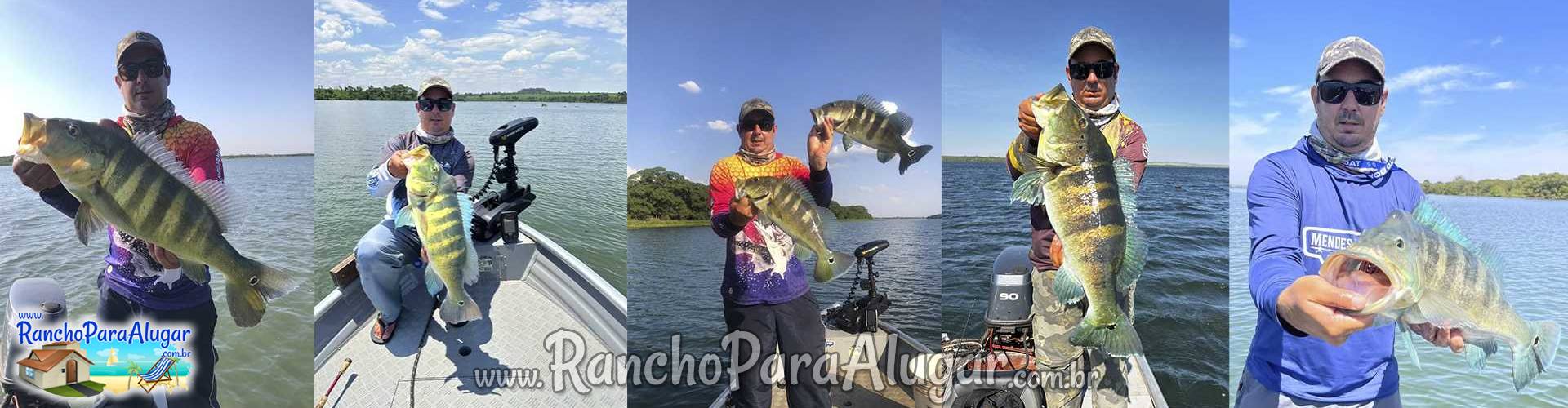 Chumbinho Guia de Pesca e Piloteiro em Miguelopolis