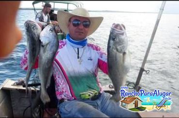 Leandro Guia de Pesca e Piloteiro em Miguelopolis - Leandro Guia de Pesca em Miguelópolis