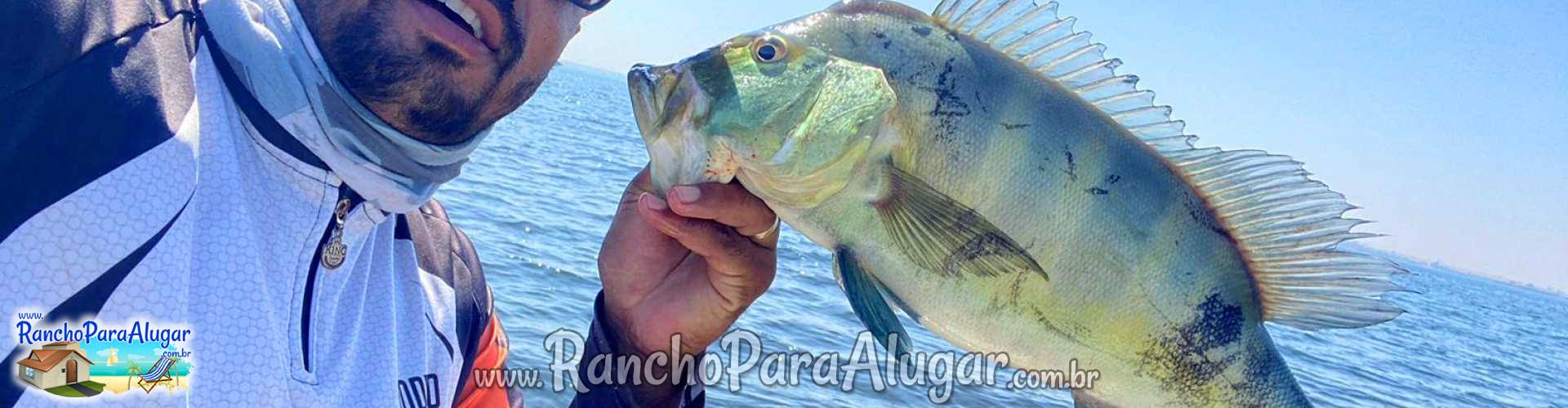 Rodrigo Guia de Pesca e Piloteiro em Miguelopolis