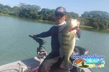 Paulo Benício Guia de Pesca e Piloteiro em Miguelopolis - Paulo Benício Guia de Pesca e Piloteiro em Miguelópolis