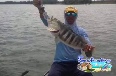 Paulo Benício Guia de Pesca e Piloteiro em Miguelopolis - Paulo Benício Guia de Pesca e Piloteiro em Miguelópolis