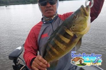 Paulo Benício Guia de Pesca e Piloteiro em Miguelopolis - Paulo Benício Guia de Pesca e Piloteiro em Miguelópolis