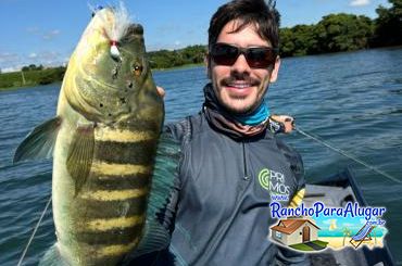 Roberteira Guia de Pesca e Piloteiro em Miguelopolis - Roberteira Guia de Pesca e Piloteiro em Miguelópolis