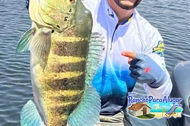 Roberteira Guia de Pesca e Piloteiro em Miguelopolis - Roberteira Guia de Pesca e Piloteiro em Miguelópolis