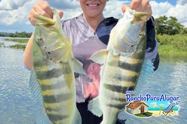 Roberteira Guia de Pesca e Piloteiro em Miguelopolis - Roberteira Guia de Pesca e Piloteiro em Miguelópolis