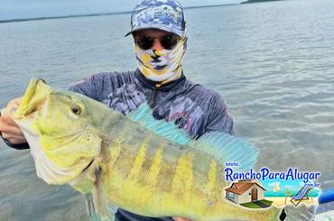 Roberteira Guia de Pesca e Piloteiro em Miguelopolis - Roberteira Guia de Pesca e Piloteiro em Miguelópolis